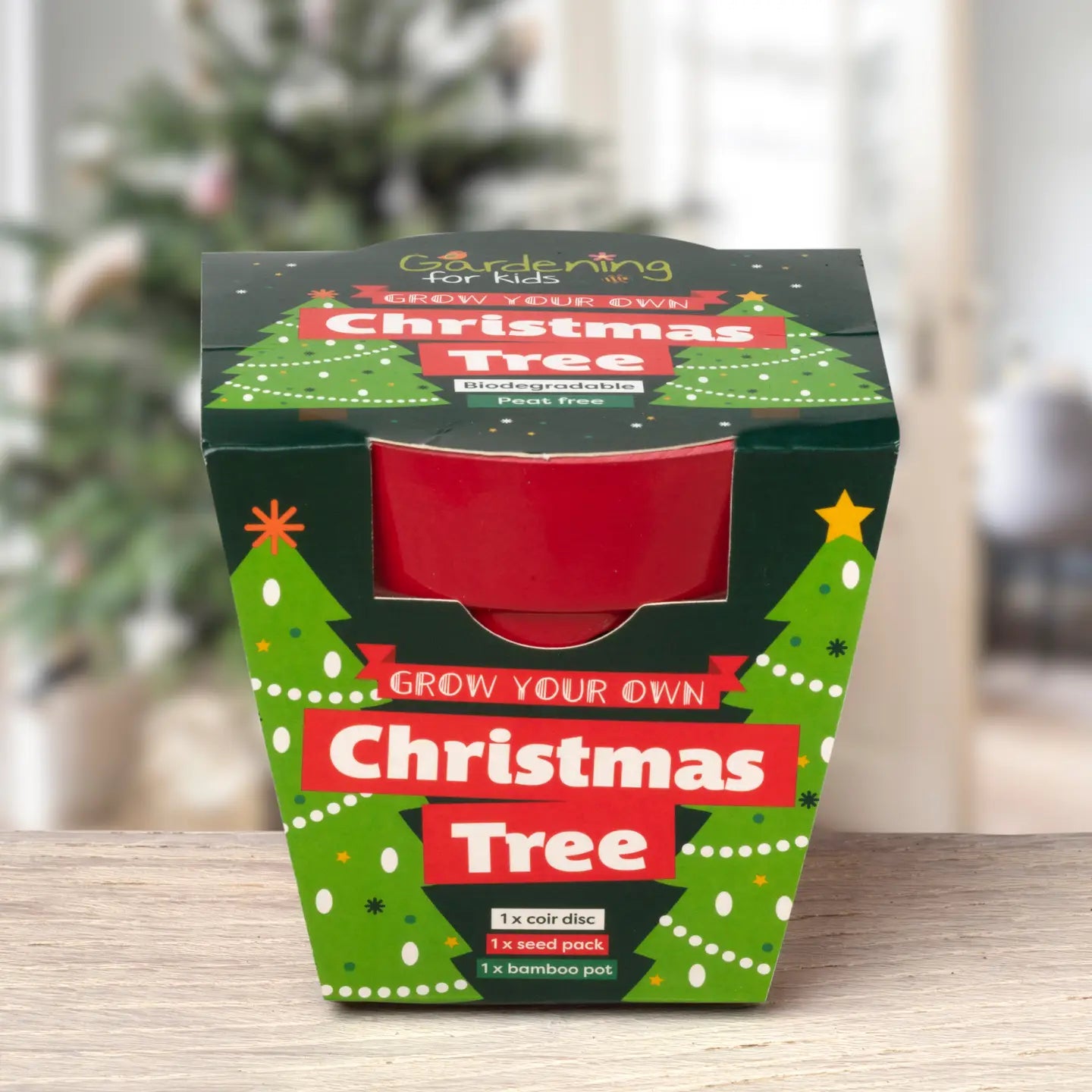 Grow your own Christmas Tree